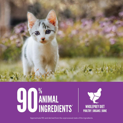 Orijen Grain Free Kitten WholePrey Dry Cat Food 4lb